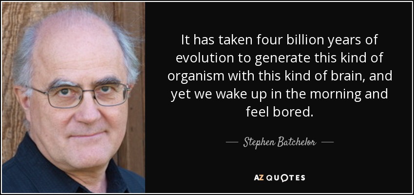 It has taken four billion years of evolution to generate this kind of organism with this kind of brain, and yet we wake up in the morning and feel bored. - Stephen Batchelor