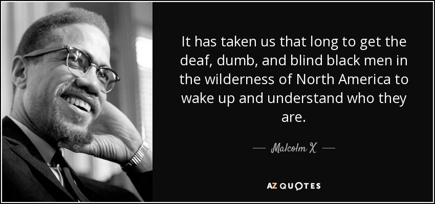 It has taken us that long to get the deaf, dumb, and blind black men in the wilderness of North America to wake up and understand who they are. - Malcolm X