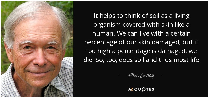 It helps to think of soil as a living organism covered with skin like a human. We can live with a certain percentage of our skin damaged, but if too high a percentage is damaged, we die. So, too, does soil and thus most life - Allan Savory