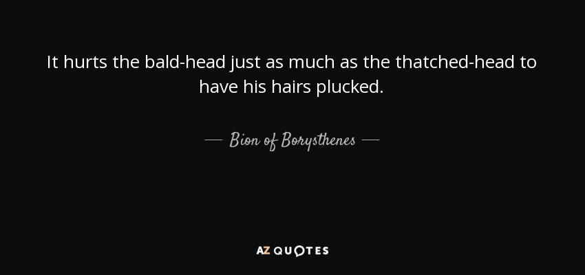 It hurts the bald-head just as much as the thatched-head to have his hairs plucked. - Bion of Borysthenes