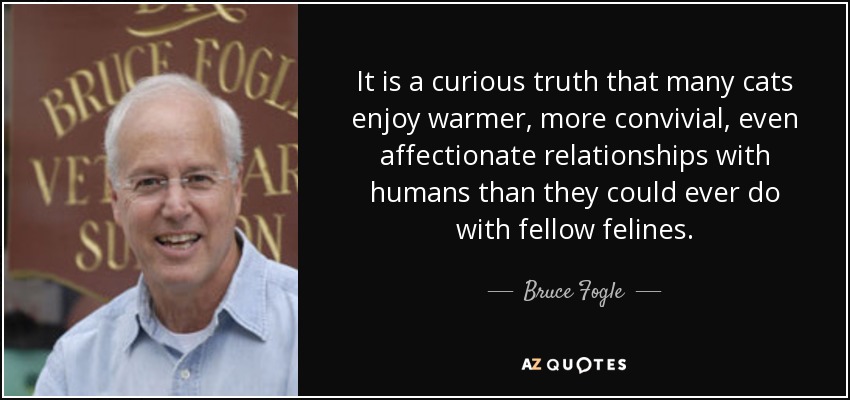 It is a curious truth that many cats enjoy warmer, more convivial, even affectionate relationships with humans than they could ever do with fellow felines. - Bruce Fogle