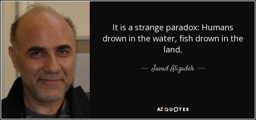 It is a strange paradox: Humans drown in the water, fish drown in the land. - Javad Alizadeh