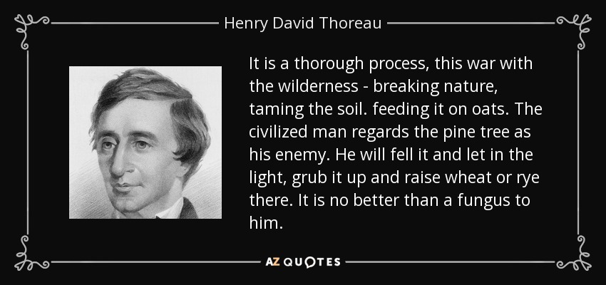 It is a thorough process, this war with the wilderness - breaking nature, taming the soil. feeding it on oats. The civilized man regards the pine tree as his enemy. He will fell it and let in the light, grub it up and raise wheat or rye there. It is no better than a fungus to him. - Henry David Thoreau