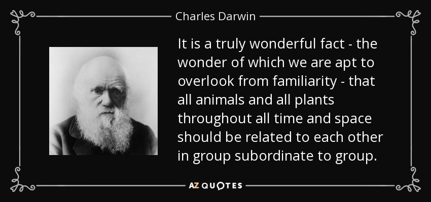 It is a truly wonderful fact - the wonder of which we are apt to overlook from familiarity - that all animals and all plants throughout all time and space should be related to each other in group subordinate to group. - Charles Darwin