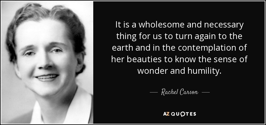 Rachel Carson quote: It is a wholesome and necessary thing for us to...