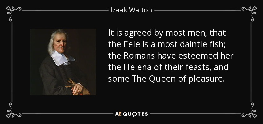 It is agreed by most men, that the Eele is a most daintie fish; the Romans have esteemed her the Helena of their feasts, and some The Queen of pleasure. - Izaak Walton