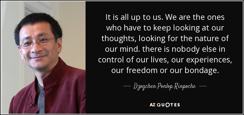 It is all up to us. We are the ones who have to keep looking at our thoughts, looking for the nature of our mind. there is nobody else in control of our lives, our experiences, our freedom or our bondage. - Dzogchen Ponlop Rinpoche