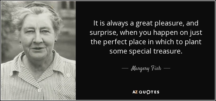It is always a great pleasure, and surprise, when you happen on just the perfect place in which to plant some special treasure. - Margery Fish