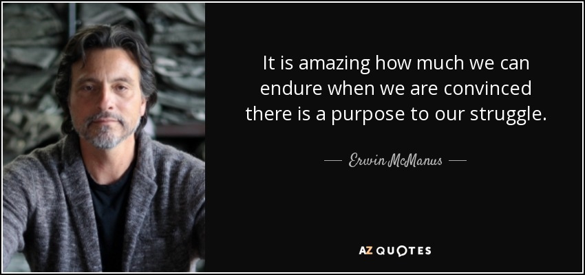 It is amazing how much we can endure when we are convinced there is a purpose to our struggle. - Erwin McManus