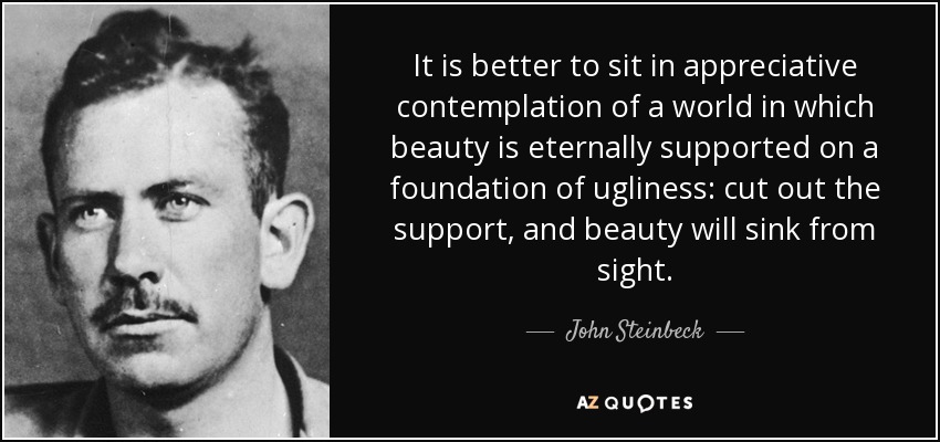 It is better to sit in appreciative contemplation of a world in which beauty is eternally supported on a foundation of ugliness: cut out the support, and beauty will sink from sight. - John Steinbeck