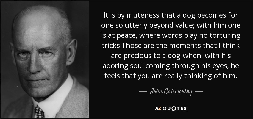 It is by muteness that a dog becomes for one so utterly beyond value; with him one is at peace, where words play no torturing tricks.Those are the moments that I think are precious to a dog-when, with his adoring soul coming through his eyes, he feels that you are really thinking of him. - John Galsworthy