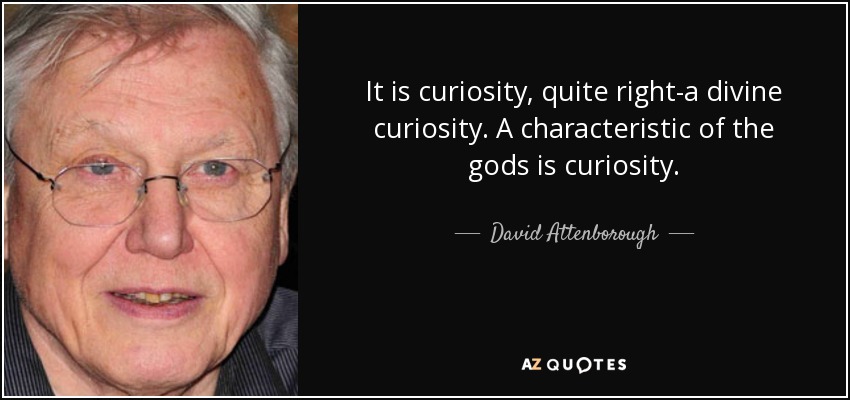 It is curiosity, quite right-a divine curiosity. A characteristic of the gods is curiosity. - David Attenborough