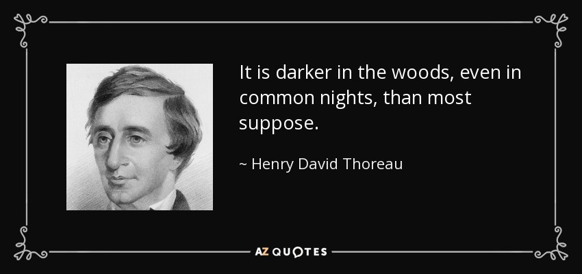 It is darker in the woods, even in common nights, than most suppose. - Henry David Thoreau