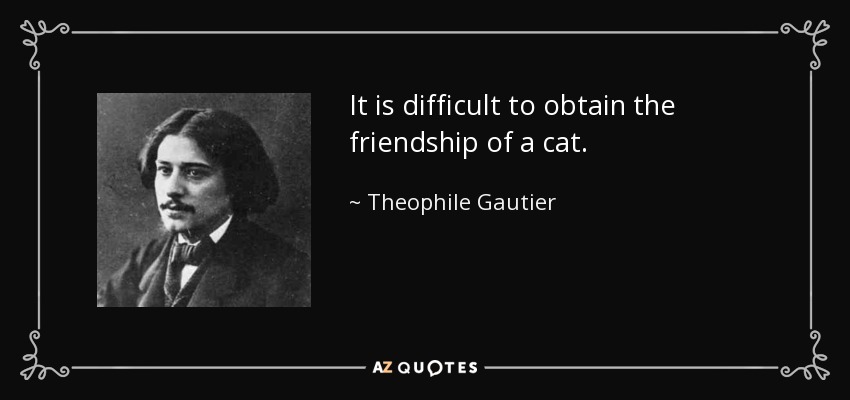 It is difficult to obtain the friendship of a cat. - Theophile Gautier