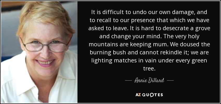 It is difficult to undo our own damage, and to recall to our presence that which we have asked to leave. It is hard to desecrate a grove and change your mind. The very holy mountains are keeping mum. We doused the burning bush and cannot rekindle it; we are lighting matches in vain under every green tree. - Annie Dillard