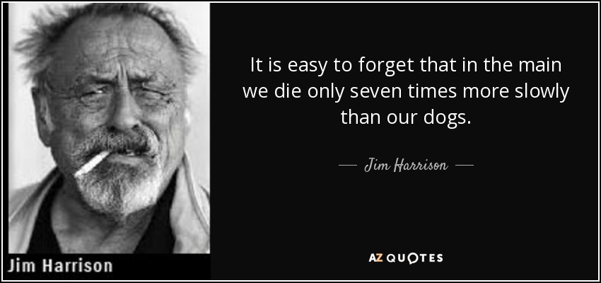 It is easy to forget that in the main we die only seven times more slowly than our dogs. - Jim Harrison