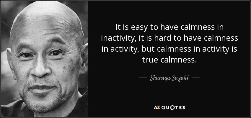It is easy to have calmness in inactivity, it is hard to have calmness in activity, but calmness in activity is true calmness. - Shunryu Suzuki