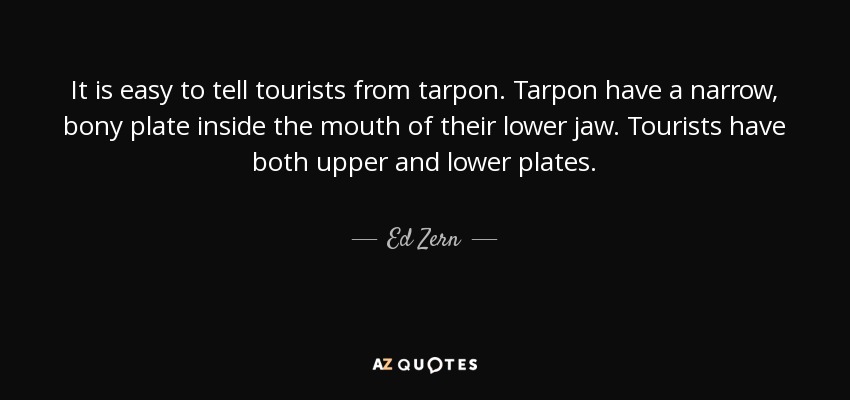 It is easy to tell tourists from tarpon. Tarpon have a narrow, bony plate inside the mouth of their lower jaw. Tourists have both upper and lower plates. - Ed Zern