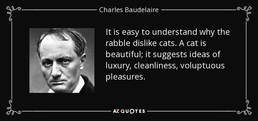 It is easy to understand why the rabble dislike cats. A cat is beautiful; it suggests ideas of luxury, cleanliness, voluptuous pleasures. - Charles Baudelaire