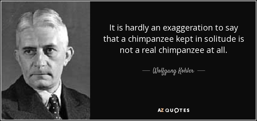 It is hardly an exaggeration to say that a chimpanzee kept in solitude is not a real chimpanzee at all. - Wolfgang Kohler