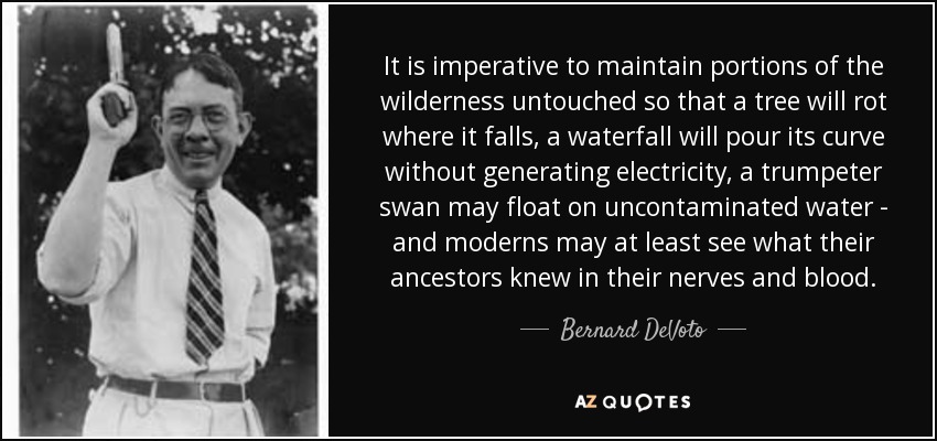 It is imperative to maintain portions of the wilderness untouched so that a tree will rot where it falls, a waterfall will pour its curve without generating electricity, a trumpeter swan may float on uncontaminated water - and moderns may at least see what their ancestors knew in their nerves and blood. - Bernard DeVoto