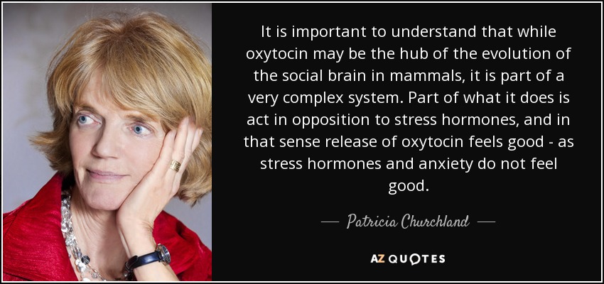 It is important to understand that while oxytocin may be the hub of the evolution of the social brain in mammals, it is part of a very complex system. Part of what it does is act in opposition to stress hormones, and in that sense release of oxytocin feels good - as stress hormones and anxiety do not feel good. - Patricia Churchland
