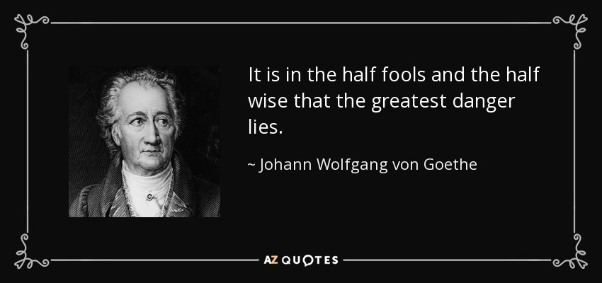 It is in the half fools and the half wise that the greatest danger lies. - Johann Wolfgang von Goethe