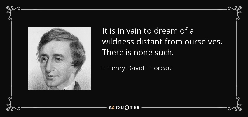 It is in vain to dream of a wildness distant from ourselves. There is none such. - Henry David Thoreau