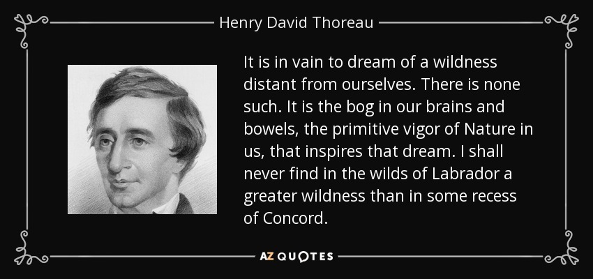 It is in vain to dream of a wildness distant from ourselves. There is none such. It is the bog in our brains and bowels, the primitive vigor of Nature in us, that inspires that dream. I shall never find in the wilds of Labrador a greater wildness than in some recess of Concord. - Henry David Thoreau