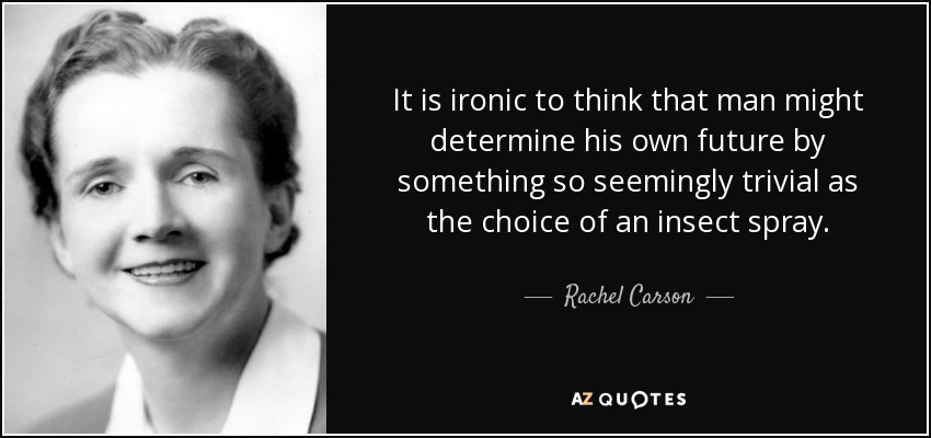 It is ironic to think that man might determine his own future by something so seemingly trivial as the choice of an insect spray. - Rachel Carson
