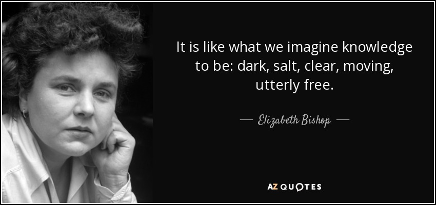 It is like what we imagine knowledge to be: dark, salt, clear, moving, utterly free. - Elizabeth Bishop