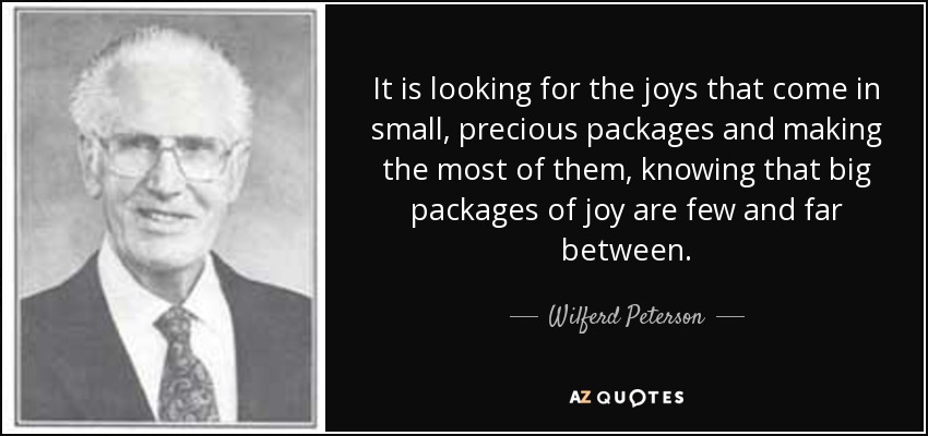 It is looking for the joys that come in small, precious packages and making the most of them, knowing that big packages of joy are few and far between. - Wilferd Peterson