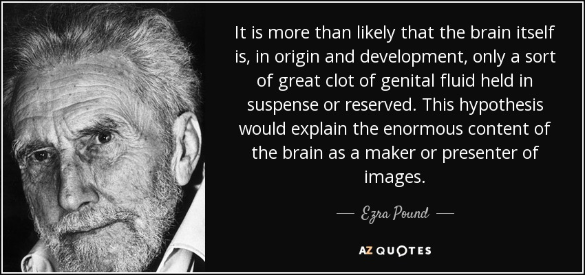 It is more than likely that the brain itself is, in origin and development, only a sort of great clot of genital fluid held in suspense or reserved. This hypothesis would explain the enormous content of the brain as a maker or presenter of images. - Ezra Pound