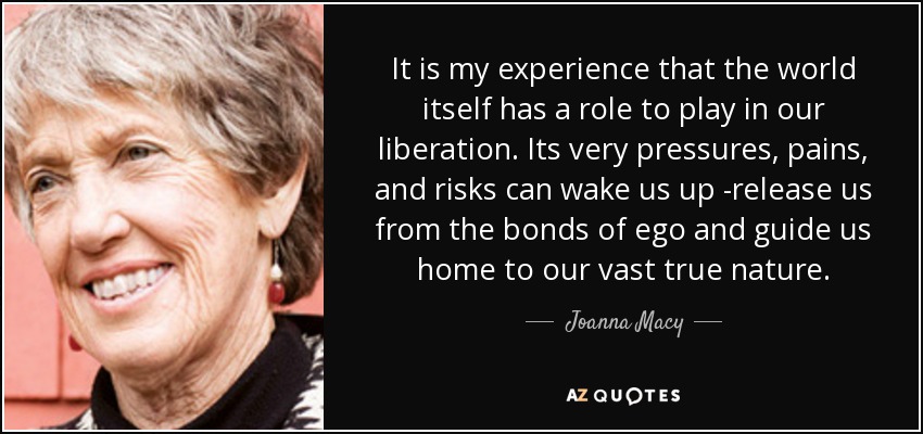 It is my experience that the world itself has a role to play in our liberation. Its very pressures, pains, and risks can wake us up -release us from the bonds of ego and guide us home to our vast true nature. - Joanna Macy