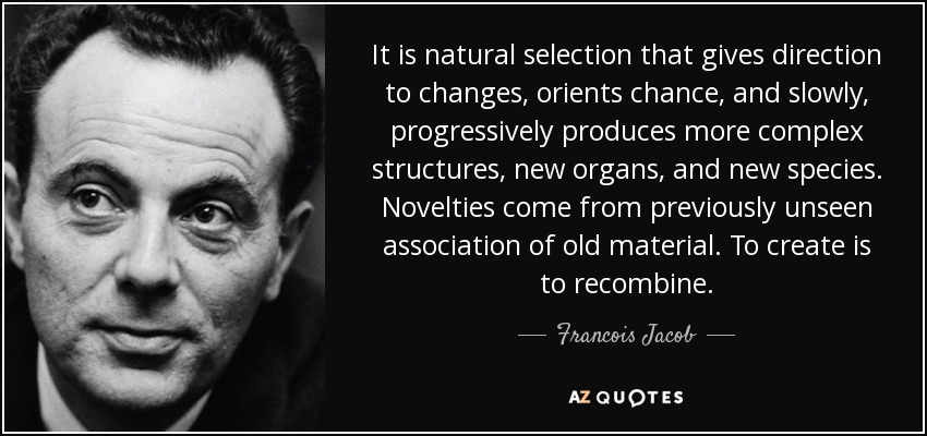 It is natural selection that gives direction to changes, orients chance, and slowly, progressively produces more complex structures, new organs, and new species. Novelties come from previously unseen association of old material. To create is to recombine. - Francois Jacob