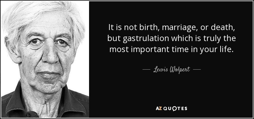 It is not birth, marriage, or death, but gastrulation which is truly the most important time in your life. - Lewis Wolpert