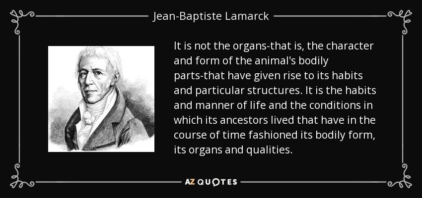 It is not the organs-that is, the character and form of the animal's bodily parts-that have given rise to its habits and particular structures. It is the habits and manner of life and the conditions in which its ancestors lived that have in the course of time fashioned its bodily form, its organs and qualities. - Jean-Baptiste Lamarck