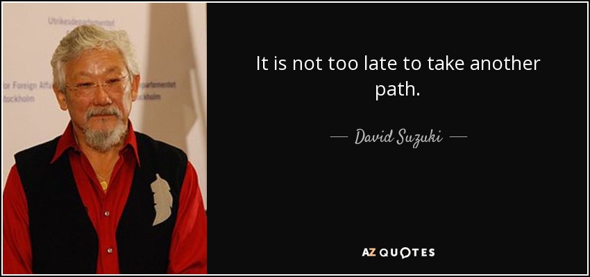 It is not too late to take another path. - David Suzuki