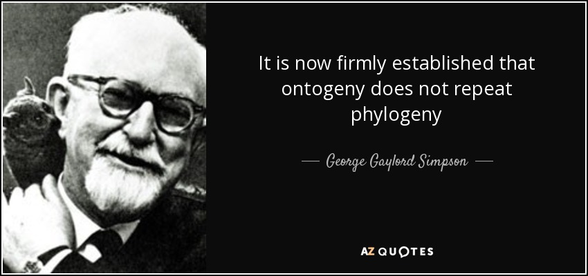 It is now firmly established that ontogeny does not repeat phylogeny - George Gaylord Simpson