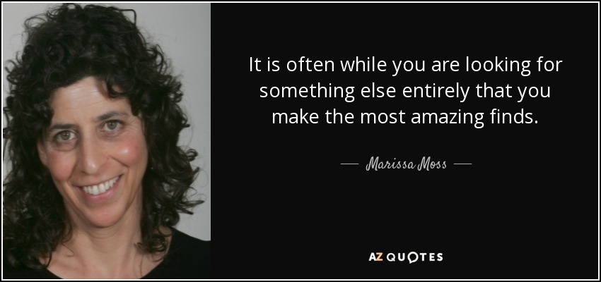 It is often while you are looking for something else entirely that you make the most amazing finds. - Marissa Moss