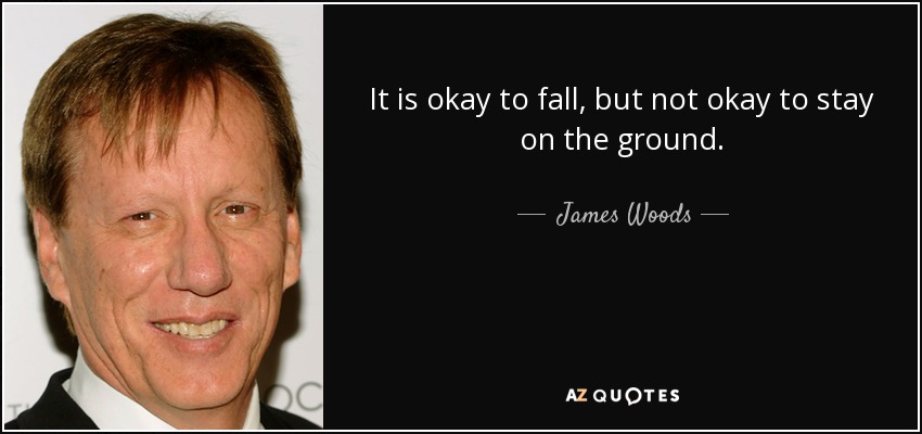 It is okay to fall, but not okay to stay on the ground. - James Woods