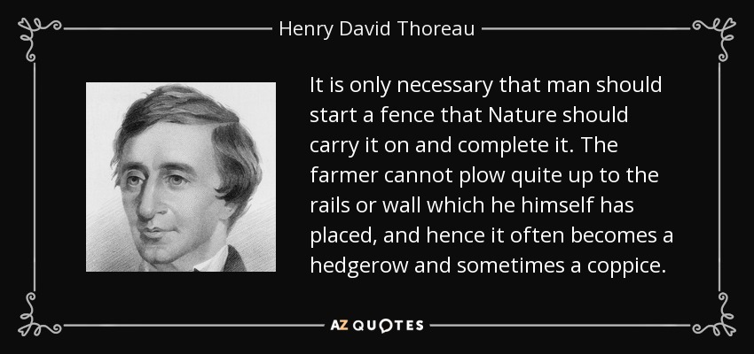 It is only necessary that man should start a fence that Nature should carry it on and complete it. The farmer cannot plow quite up to the rails or wall which he himself has placed, and hence it often becomes a hedgerow and sometimes a coppice. - Henry David Thoreau