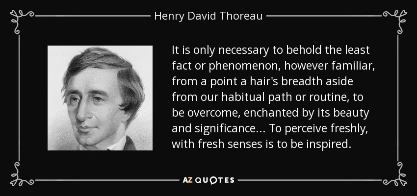 It is only necessary to behold the least fact or phenomenon, however familiar, from a point a hair's breadth aside from our habitual path or routine, to be overcome, enchanted by its beauty and significance ... To perceive freshly, with fresh senses is to be inspired. - Henry David Thoreau