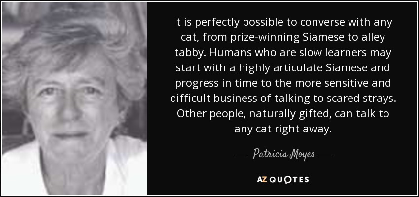 it is perfectly possible to converse with any cat, from prize-winning Siamese to alley tabby. Humans who are slow learners may start with a highly articulate Siamese and progress in time to the more sensitive and difficult business of talking to scared strays. Other people, naturally gifted, can talk to any cat right away. - Patricia Moyes