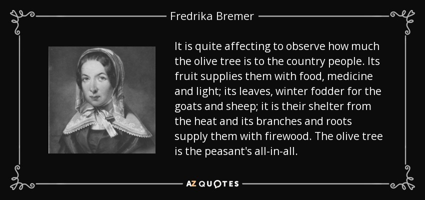 It is quite affecting to observe how much the olive tree is to the country people. Its fruit supplies them with food, medicine and light; its leaves, winter fodder for the goats and sheep; it is their shelter from the heat and its branches and roots supply them with firewood. The olive tree is the peasant's all-in-all. - Fredrika Bremer