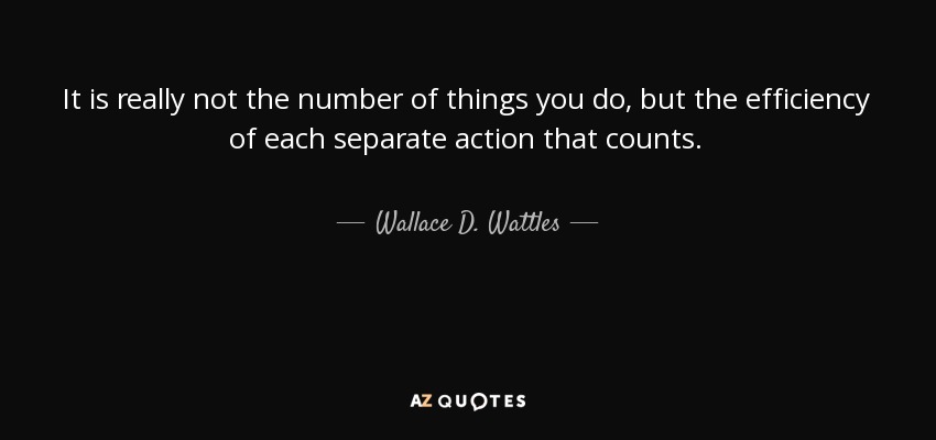 It is really not the number of things you do , but the efficiency of each separate action that counts. - Wallace D. Wattles