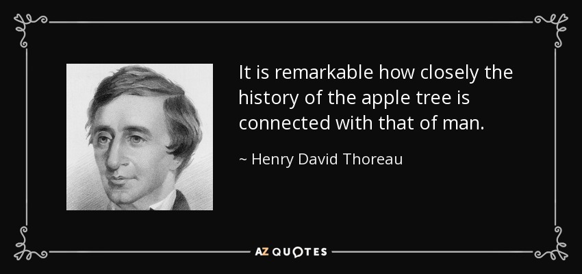 It is remarkable how closely the history of the apple tree is connected with that of man. - Henry David Thoreau