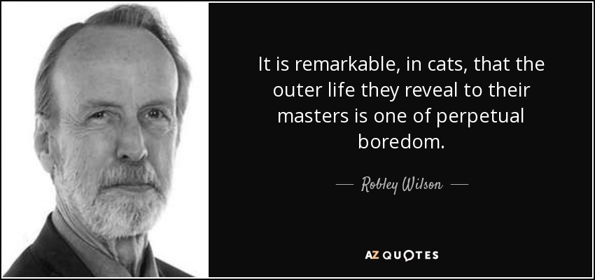 It is remarkable, in cats, that the outer life they reveal to their masters is one of perpetual boredom. - Robley Wilson