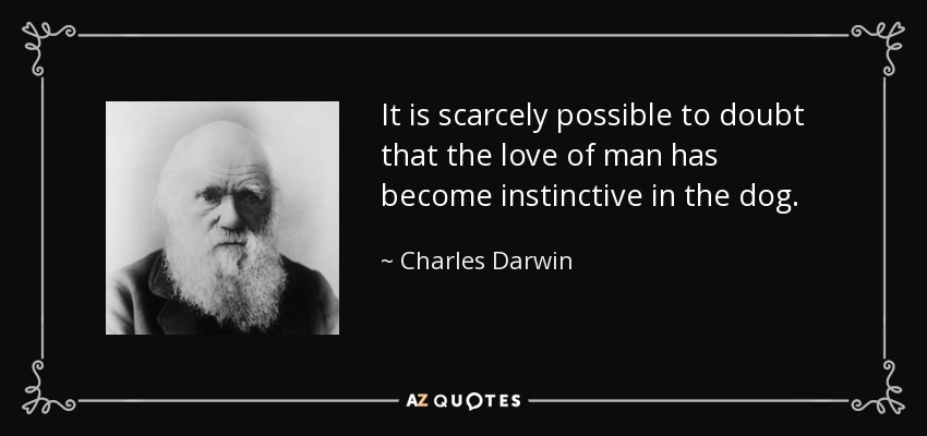 It is scarcely possible to doubt that the love of man has become instinctive in the dog. - Charles Darwin