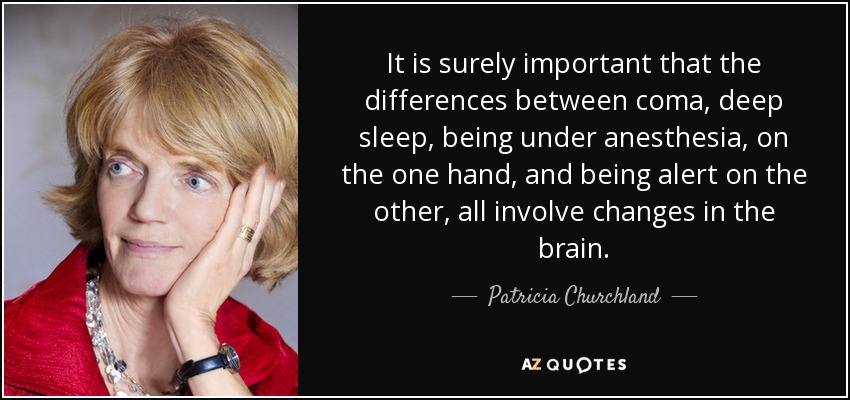 It is surely important that the differences between coma, deep sleep, being under anesthesia, on the one hand, and being alert on the other, all involve changes in the brain. - Patricia Churchland